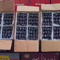 فروش خرمای تازه مضافتی