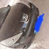 ماشین ۲۰۷پانا