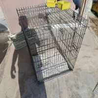 قفس مینا عروس هلندی 1 متر