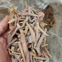 جنسینگ قرمز رومی
