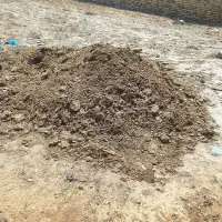 کود اسب