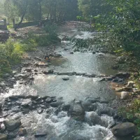 تور یکروزه رودخانه و جنگل سوادکوه گالشکلا