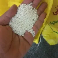 برنج سوناماسوری نیم دانه و دانه کامل