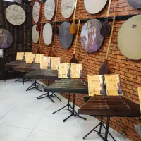 سنتور استانداردموردتایید استاتیدبا قیمت باورنکردنی