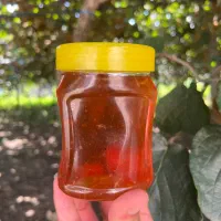 عسل تغذیه ای(گیلان)