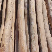 چوب سقفی تمیز