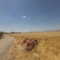فروش گندم ابی جو هم دخلش هست