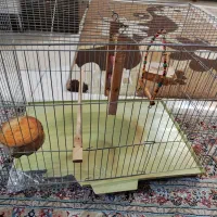 قفس با تمام وسایل