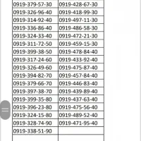 09193117250