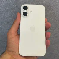 16 normal