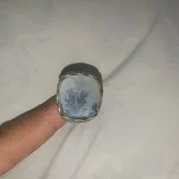 انگشتر شجر