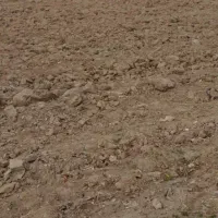 زمین در شهرک بهاران محمدشهرقطعه ۹۹