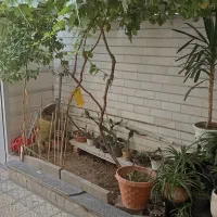 خانه-اجاره-ای