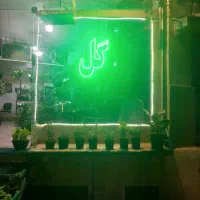 گل های زیبا