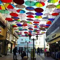 پخش عمده چتر مردانه و رنگین کمان