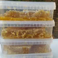 عسل بدون تغذیه