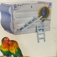 لانه برای پرنده