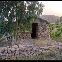 فروش-باغ-انگوری