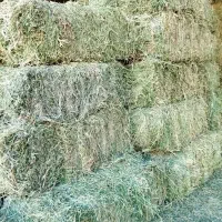 آذوقه و خوراک دام و طیور رحمتی