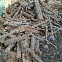 خریدار چوب مورت وکنار