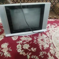 تلویزیون