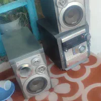 ضبط خانگی