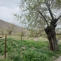 زمین فروشی طرقبه  طرقدر ۳۴