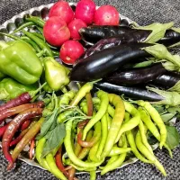 سلام دوستان عزیز