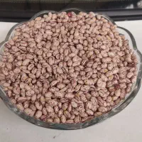 لوبیا چیتی|خوردنی و آشامیدنی|قره پشتلو, |دیوار