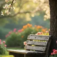 داوطلبانه
