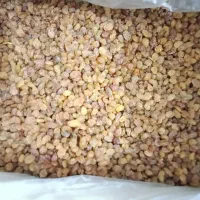 کشمش پلویی