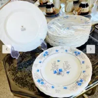 پیش دستی آرکوپال