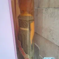 باربی ایستاده سرسره