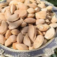 بادام  درختی