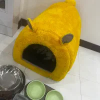 خانه و وسایل گربه