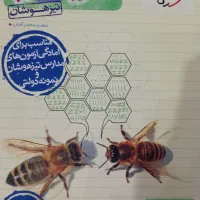 علوم خیلی سبز نهم