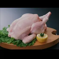 نیروی کار خانم فروشند و خدماتی