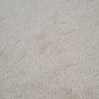 موکت|موکت|آمل, |دیوار