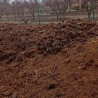 کود حیوانی|خدمات باغبانی و درختکاری|گلپایگان, |دیوار