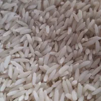 برنج|خوردنی و آشامیدنی|نوشهر, |دیوار