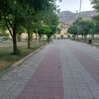 ورزش صبحگاهی و همگانی پارک شقایق