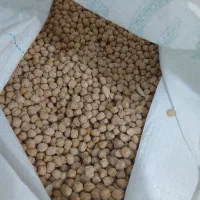 نخود کرمانشاه(سنقر)