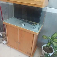 آکواریوم