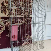 دوعددقفس پرنده یا حیوان خانگی