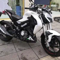 بنلی 180، مدل 402، زونتس