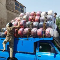 پاف|لوازم خیاطی و بافتنی|لاهیجان, گلستان|دیوار