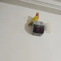 فروشی