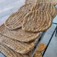 شاطر بربری