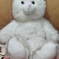 خرس بزرگ