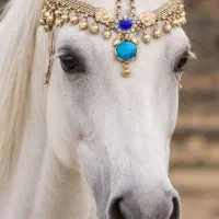 پیشانی بند اسب ۳۰۰ساله
